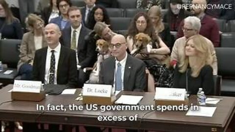 Fauci's Beagles Feature as Star Witnesses in GOP Committee