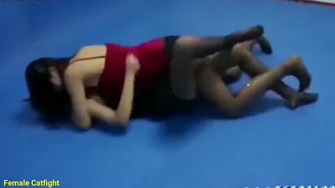 Classic Realistic Rolling Catball Fight Between Two Cute Modal Girls