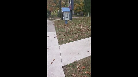 A Blue and White Little Free Library