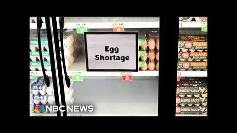 Egg robbery caught on camera