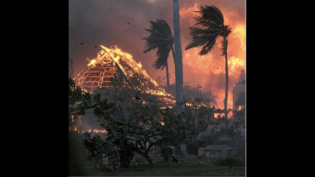 Countering The Scorched Earth Land Grab w/ Traci Derwin