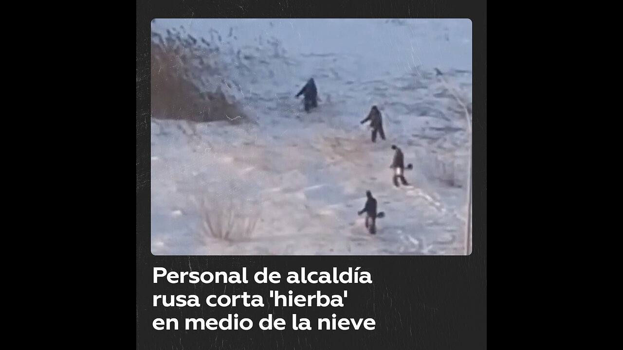 Personal de una ciudad rusa cortan ‘hierba’ en la nieve