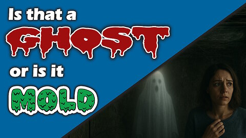 Is that a Ghost or is it MOLD?