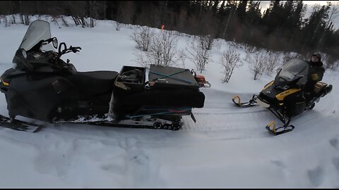 Traping Jan 23-30th 2026