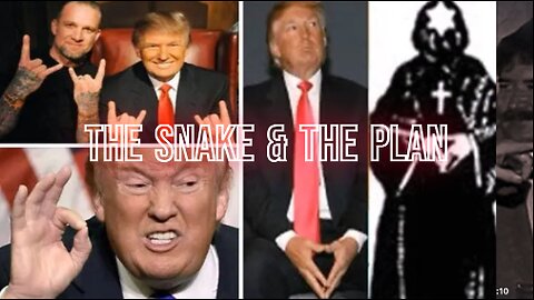 THE SNAKE & THE PLAN