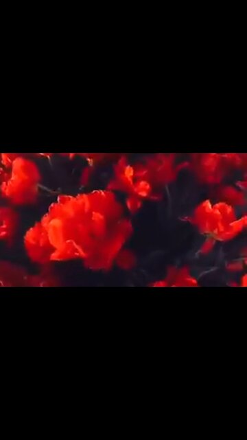 SETTING GOALS FOR FRUITFUL LIVING - DAILY DEVOTIONAL ❤️