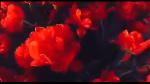 SETTING GOALS FOR FRUITFUL LIVING - DAILY DEVOTIONAL ❤️