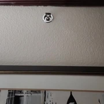 THIS IS ODD #ourtruckinglife #truckdrivers #reallifetruckers #truckdriver #atruckerslife