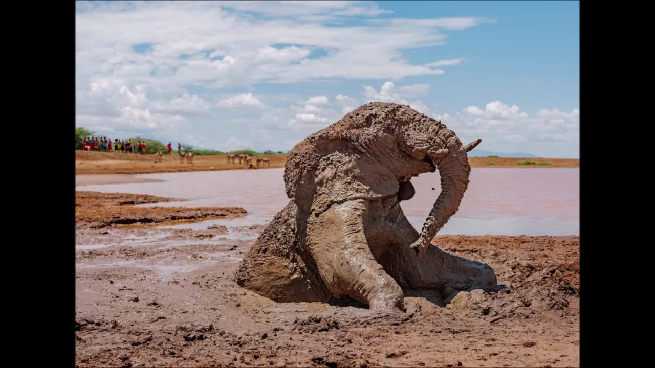 Dr Eli Elephant presents...The Creed of the Old South by Basil Gildersleeve pt (02 of 02)