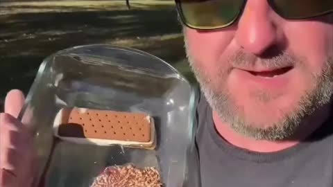 Fast food's obscured toxins go beyond grocery produce