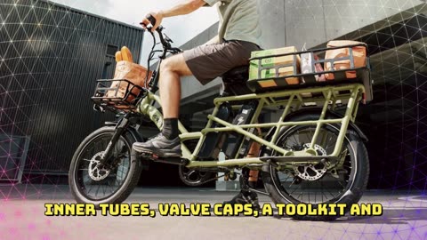 Fafrees FF20 CUV Cargo Electric Bike 250W Motor 48V 24Ah Battery Cargo E-bike for Adults