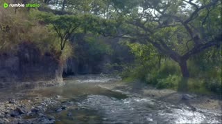 sleep peacefully with our live now