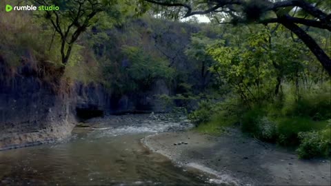 sleep peacefully with our live now