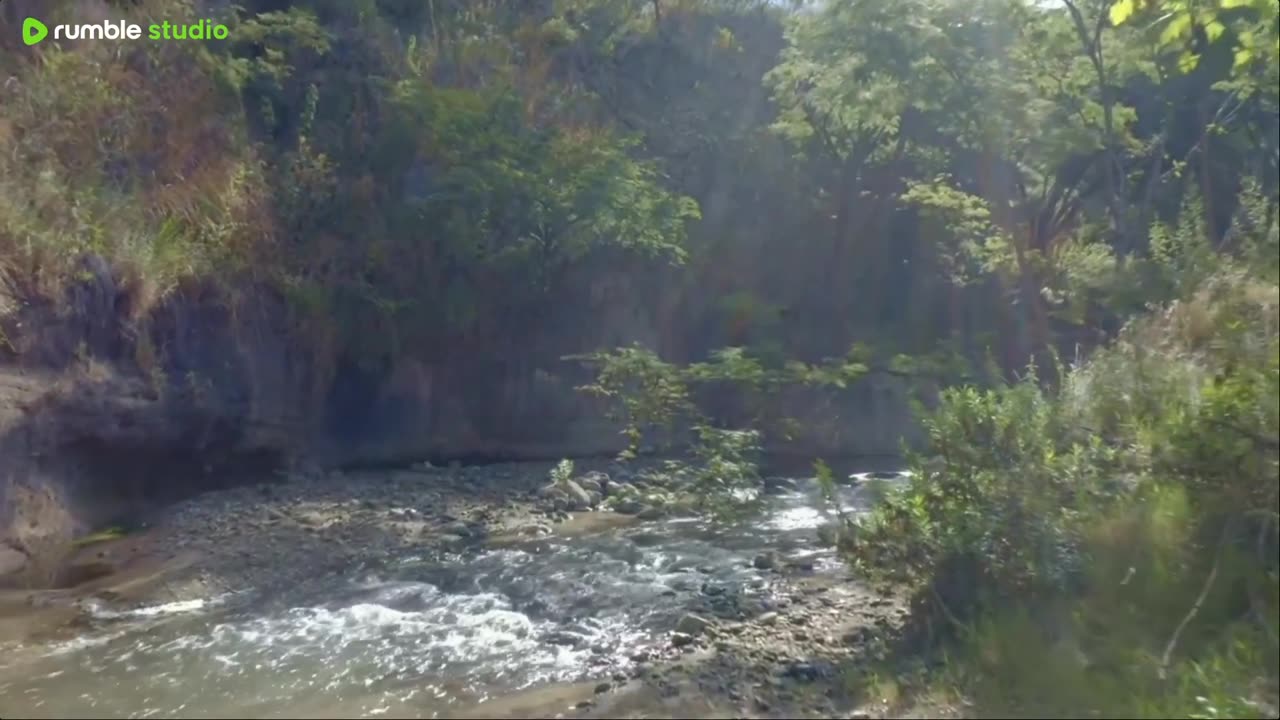 sleep peacefully with our live now