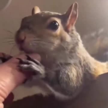 Please don’t stop with the free massages