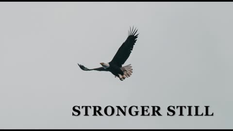 Pray USA, 2/11/25 Stronger Still