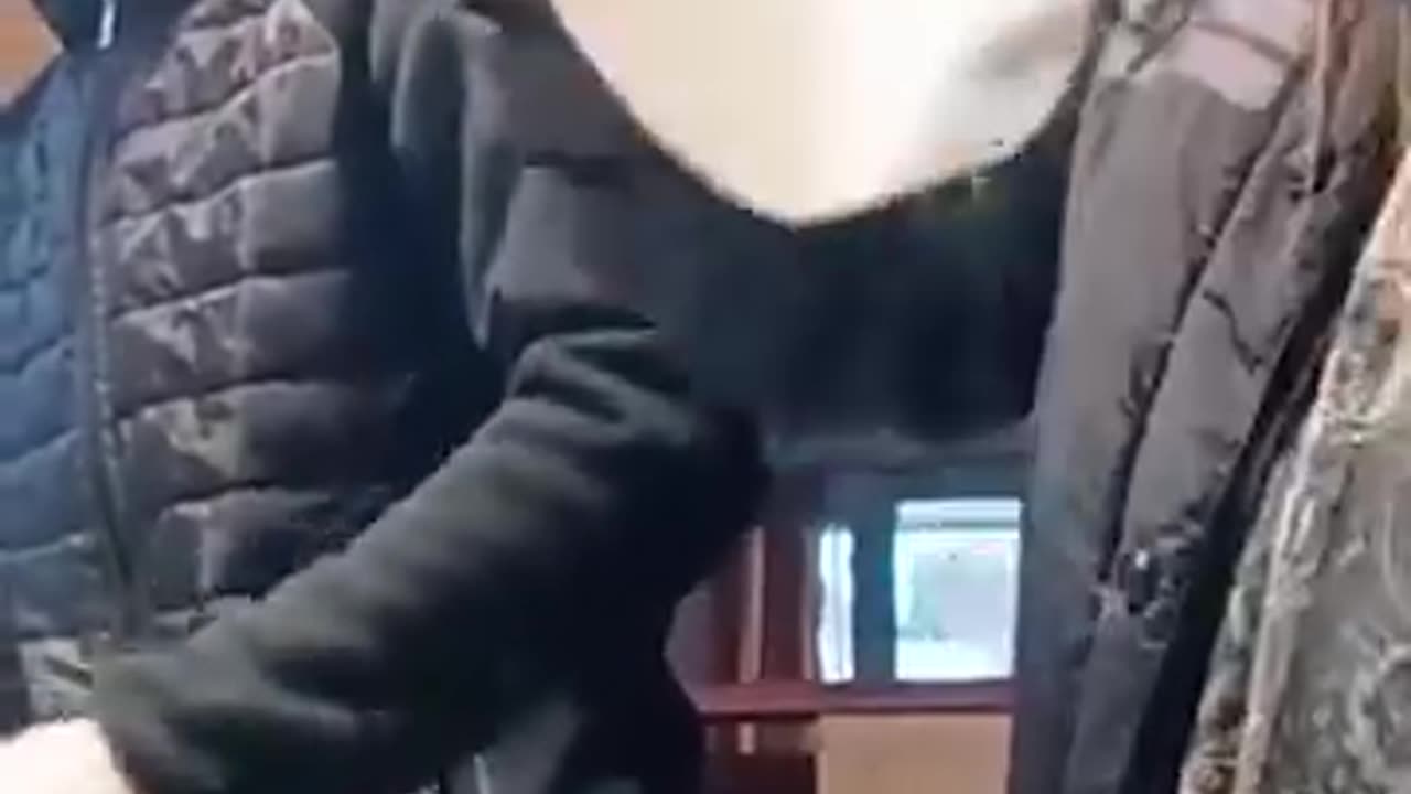 Funny & Smart Man Compilation 1 | Best Viral Moments 2025