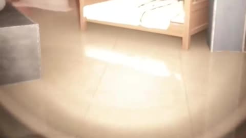 Inside The Backrooms Funny Moments | #insidethebackrooms #horror #horrorgames