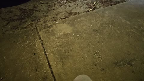 SEARCHING FOR 1 GOOD COP