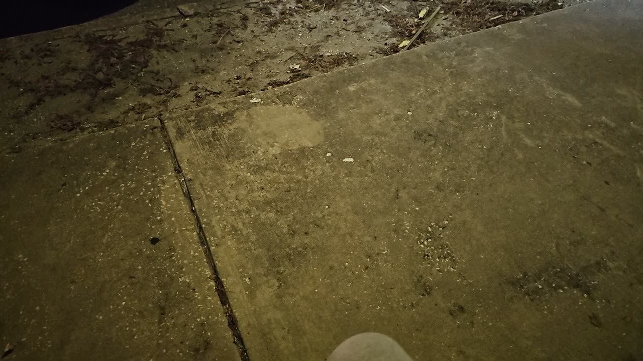 SEARCHING FOR 1 GOOD COP