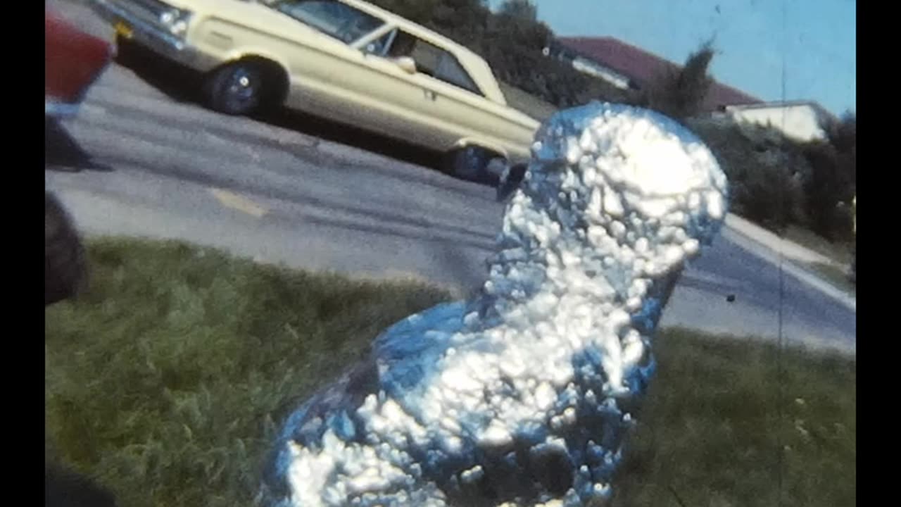 Alien Visitor 1975