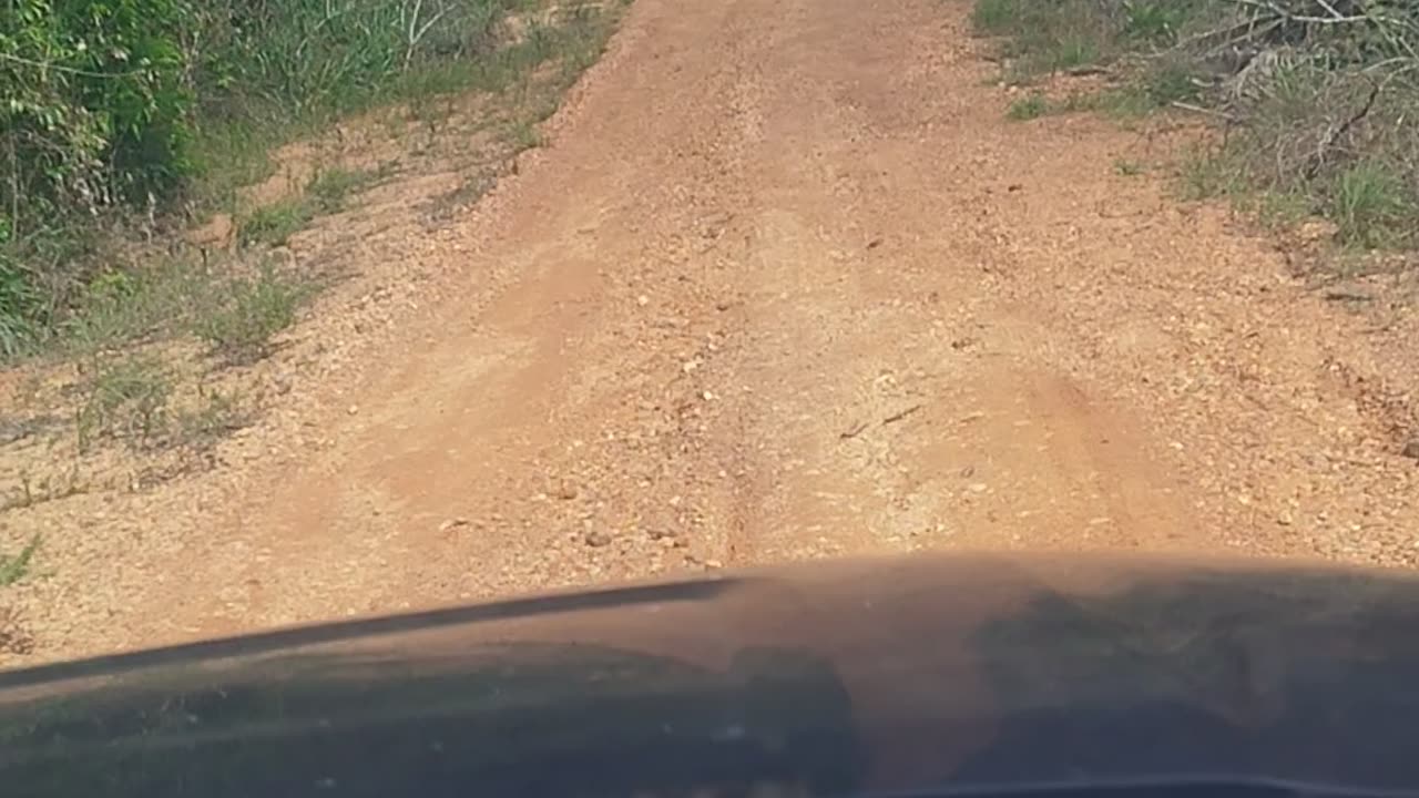 Adventure