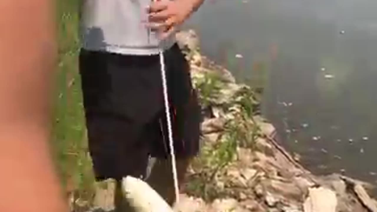 Fish hunting