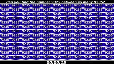 9325 puzzle: Can you find the number 9325 between so many 9235?