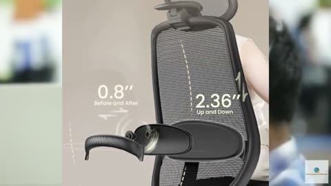 ProtoArc EM01 NL Trackball Mouse and EC200 Ergonomic Office Chair