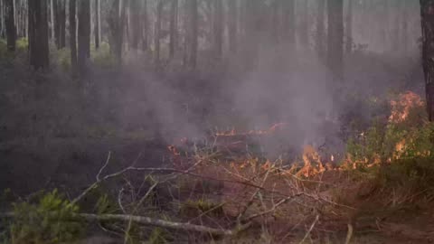 NASA FireSense (Fort Stewart‑Hunter Army Airfield, Georgia)