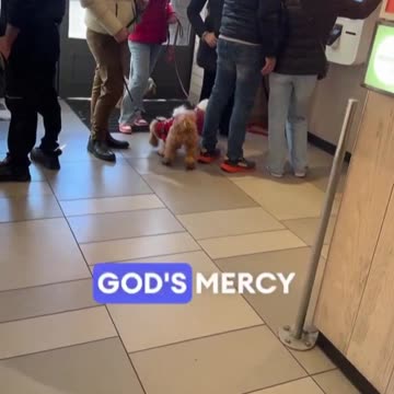 The fake Islamic asylum seeker doesn't like that