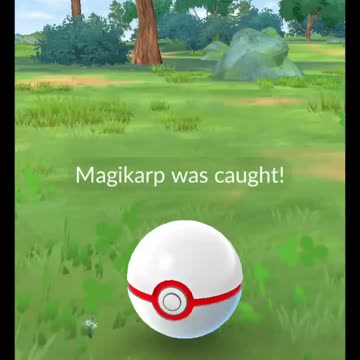 Pokémon GO-Shadow Magikarp