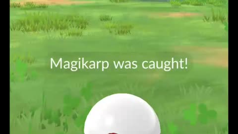 Pokémon GO-Shadow Magikarp