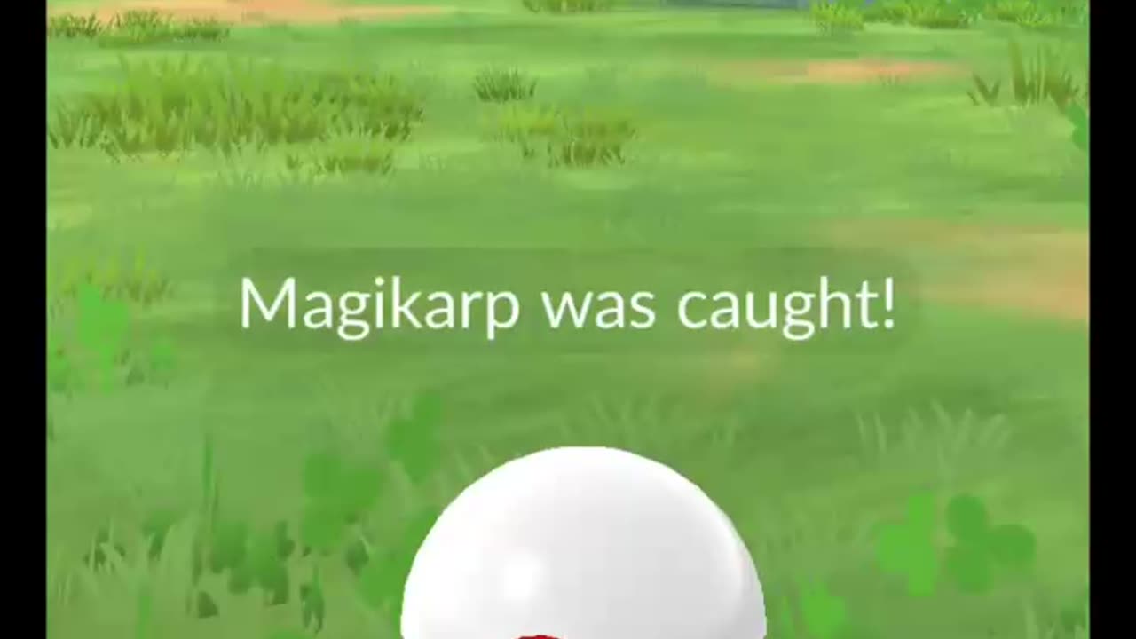 Pokémon GO-Shadow Magikarp