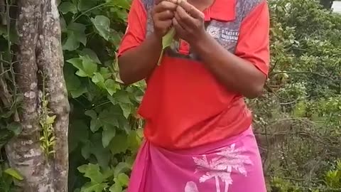 Woman Blows Bubbles From Plant Stem