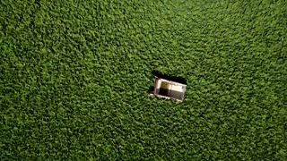 Aquatic weed plague halts fishing in El Salvador reservoir