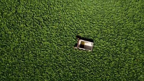 Aquatic weed plague halts fishing in El Salvador reservoir