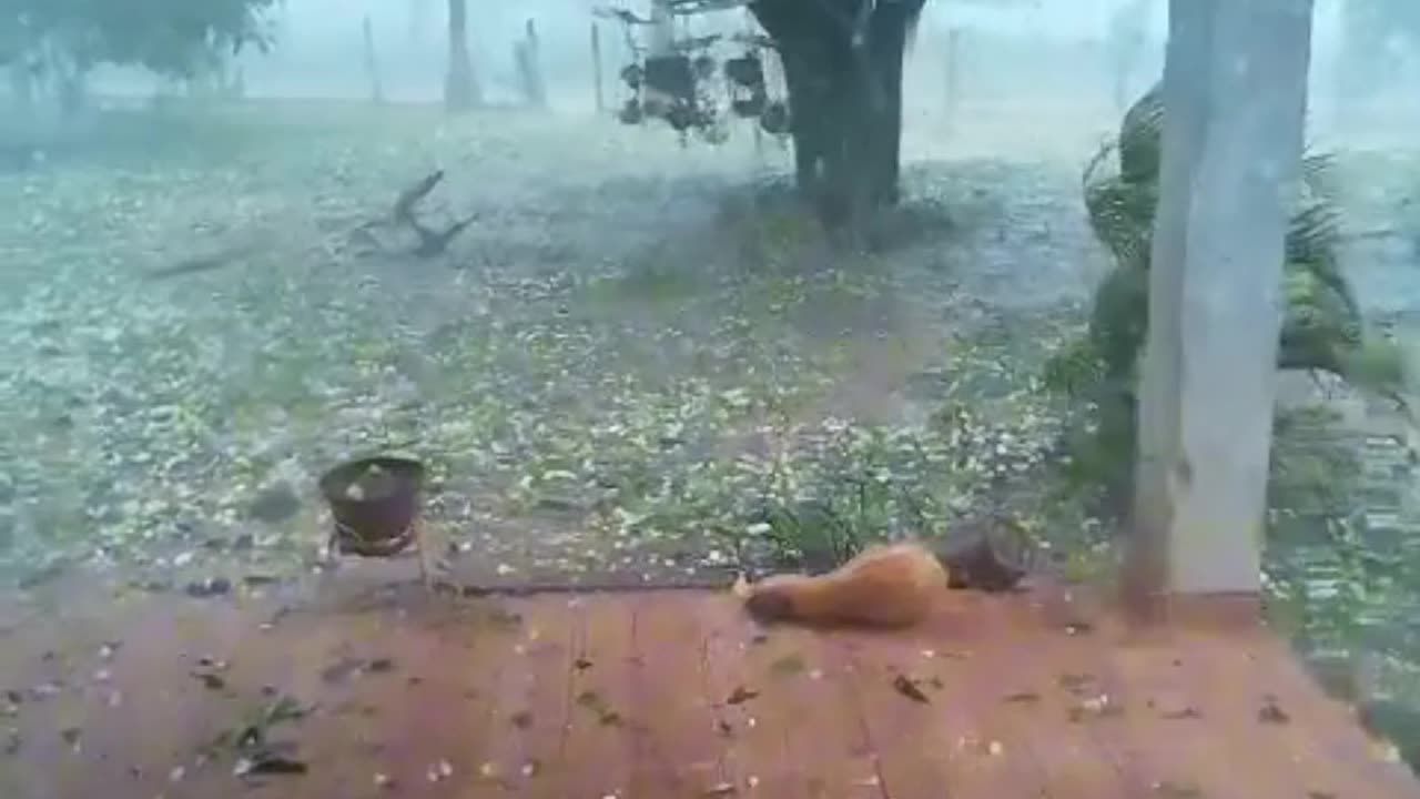 1.11.2025 - MONITORING KLIMATU