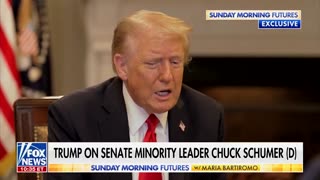 Trump Reveals 'Mistake' Dems Made In Shutdown Fight (VIDEO)