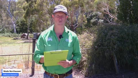 Bondi Beach attack - Labor and Greens Legacy - 16/12/2025