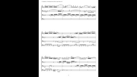 J.S. Bach - Well-Tempered Clavier: Part 2 - Fugue 09 (Bassoon Quartet)