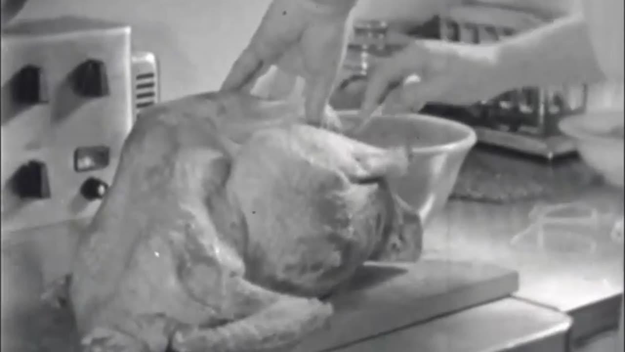 The music playing during this scene in "Christmas at Beacon Lodge"