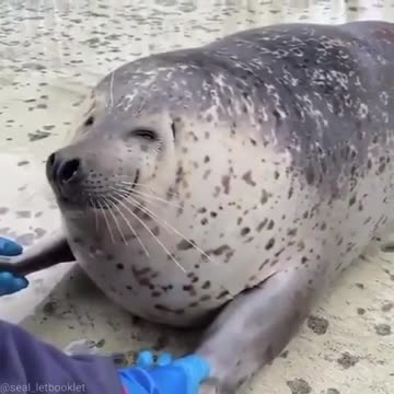 Give me that big smile 😊