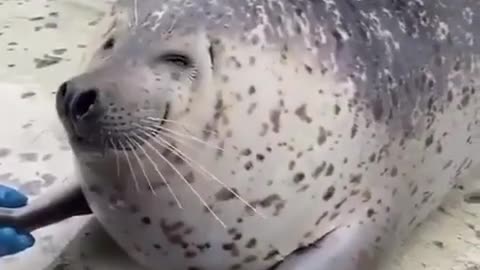 Give me that big smile 😊