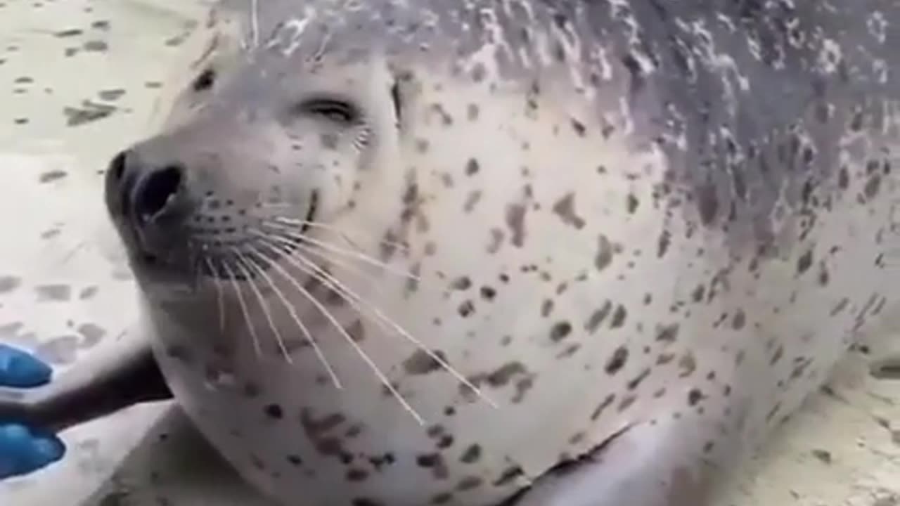 Give me that big smile 😊