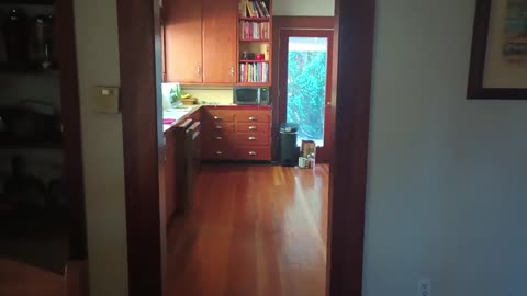 Ben Phillips Joins the Troublemakers and Gets Grounded