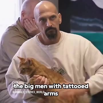 Love All Life Always #46 - Love is the most powerful force ever...