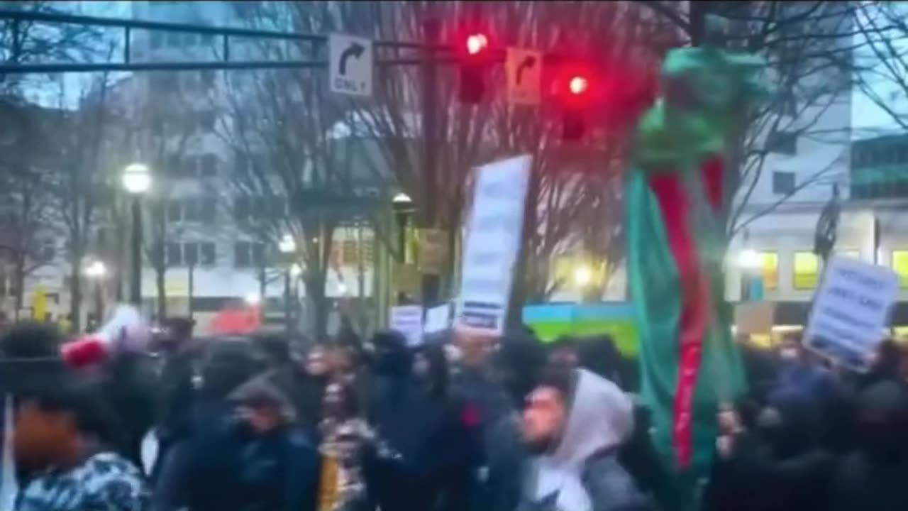 Anyone who tells you that ANTIFA isn't organized crime are blind or just straight up lying to you