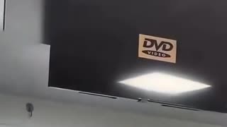 😂💥 This Is Next-Level Awesomeness! | FunFM