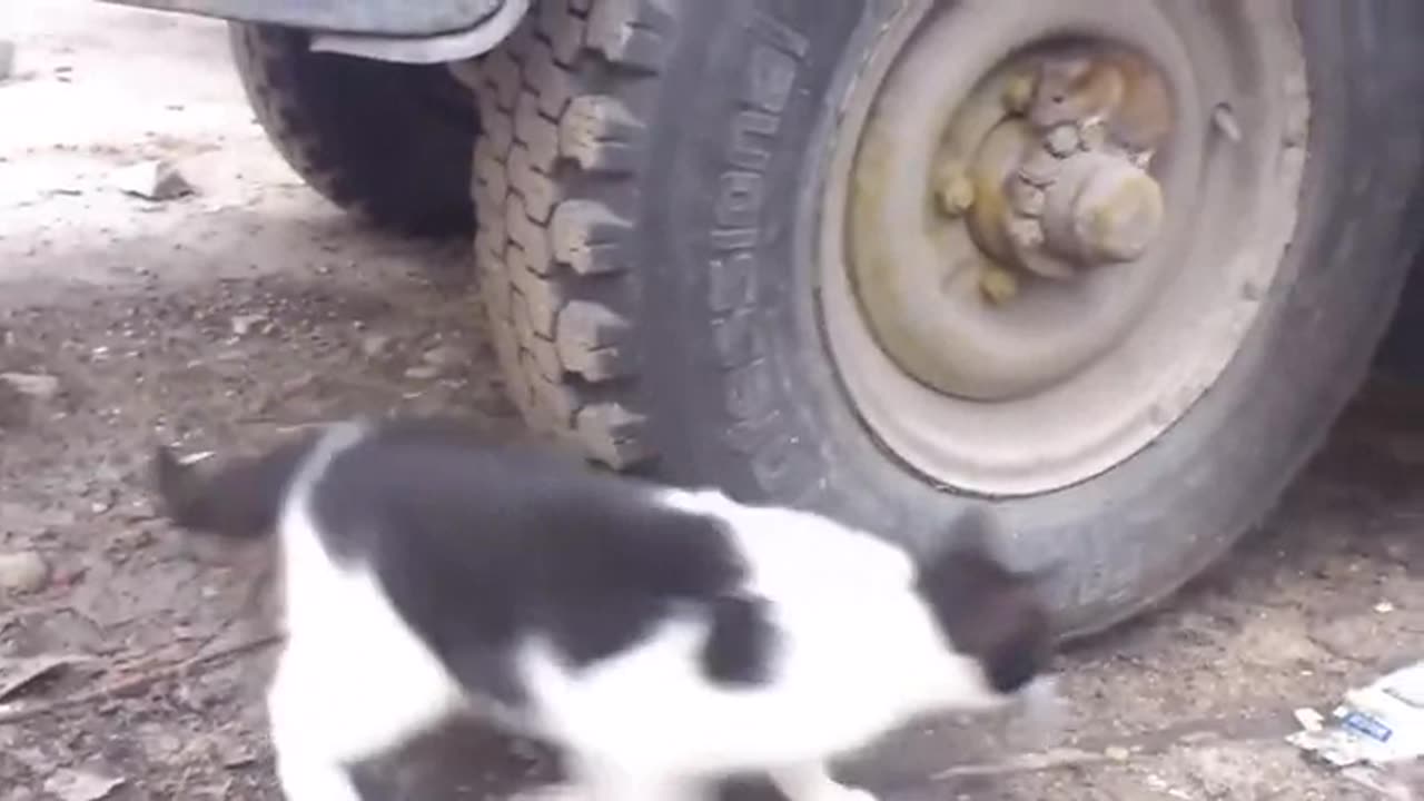 Urban Stealth Exploits Human Apathy